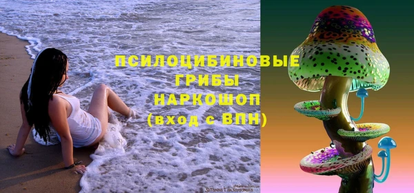скорость Корсаков