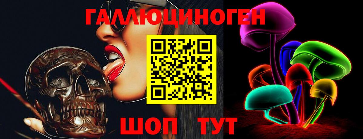 Галлюциногенные грибы Psilocybe  Вход с VPN  Сочи 
