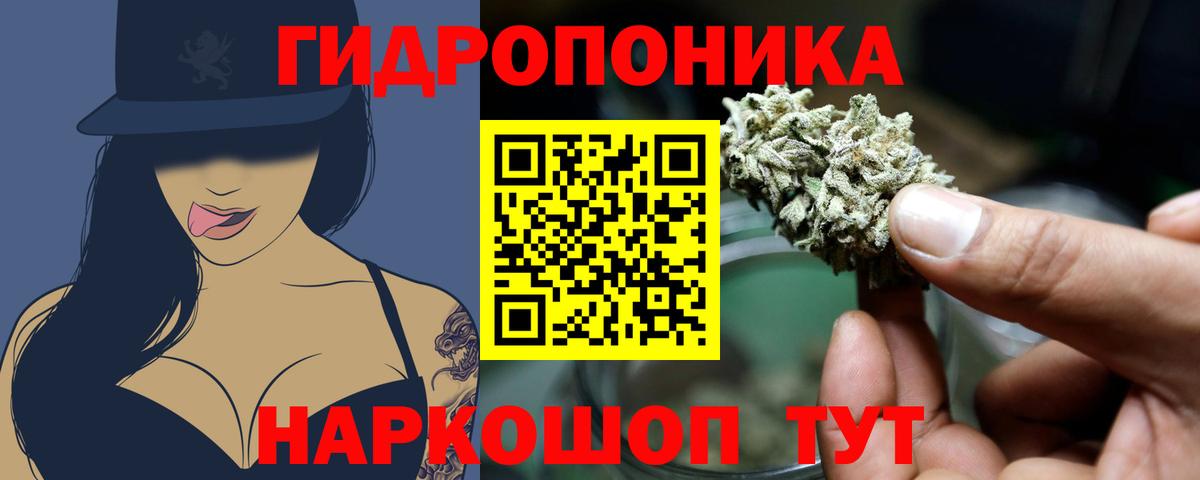 Конопля семена Сочи